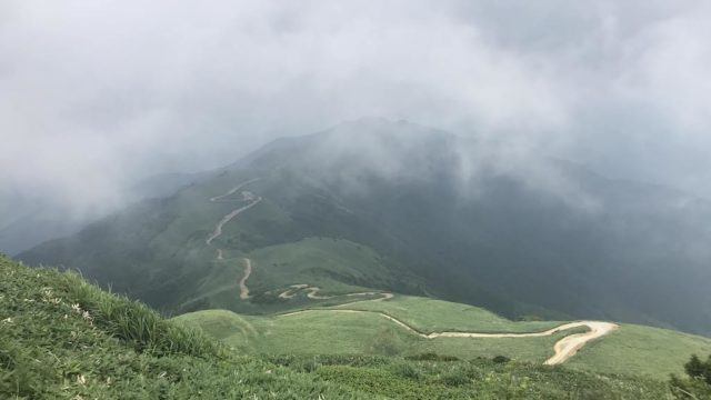 天空の林道