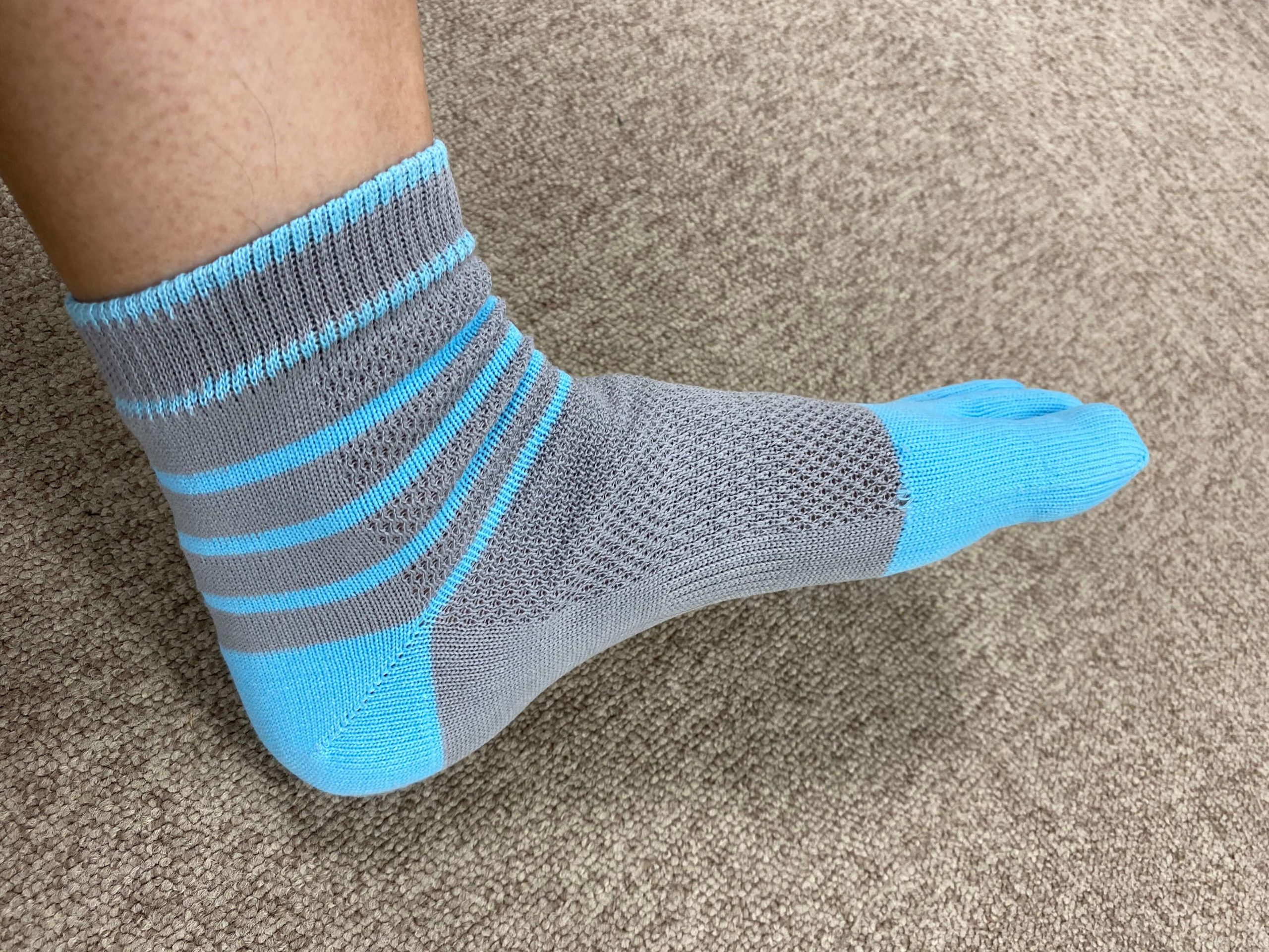 ワークマン 冷感靴下 Ice Assist Foot Armour Mesh レビュー 夏場のバイクツーリングの靴下として最適 石ログ ワークマン 冷感靴下 Ice Assist Foot Armour Mesh レビュー 夏場のバイクツーリングの靴下として最適 石ログ
